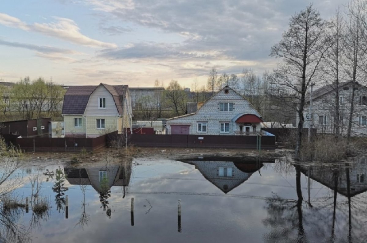 Количество затопленных паводком домовладений на Брянщине сократилось до 193