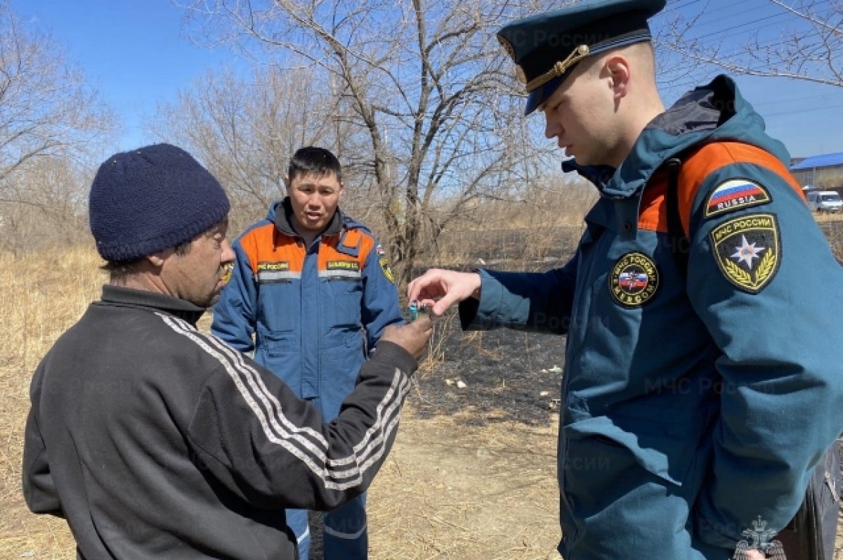 Пьяный бомж устроил пал сухой травы в Чите | АиФ Чита