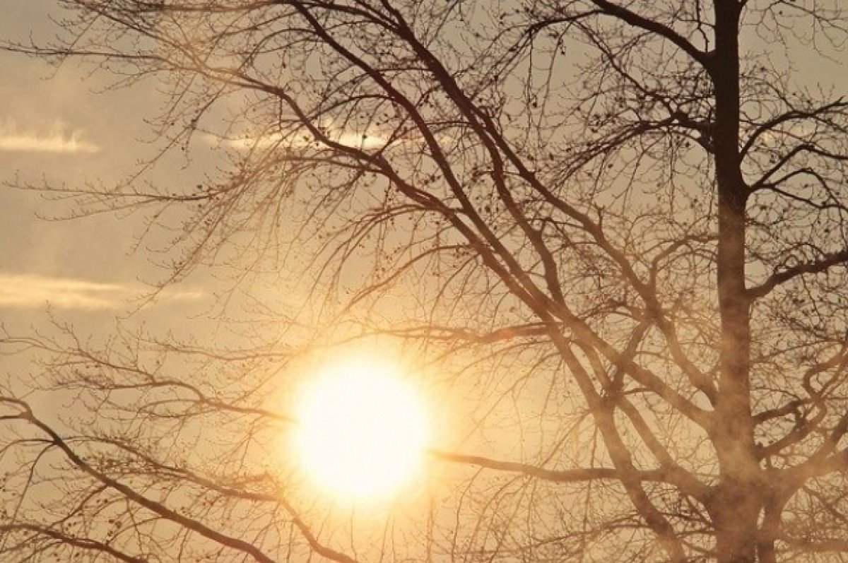 В Ростове-на-Дону на Пасху синоптики прогнозируют с утра солнечную погоду
