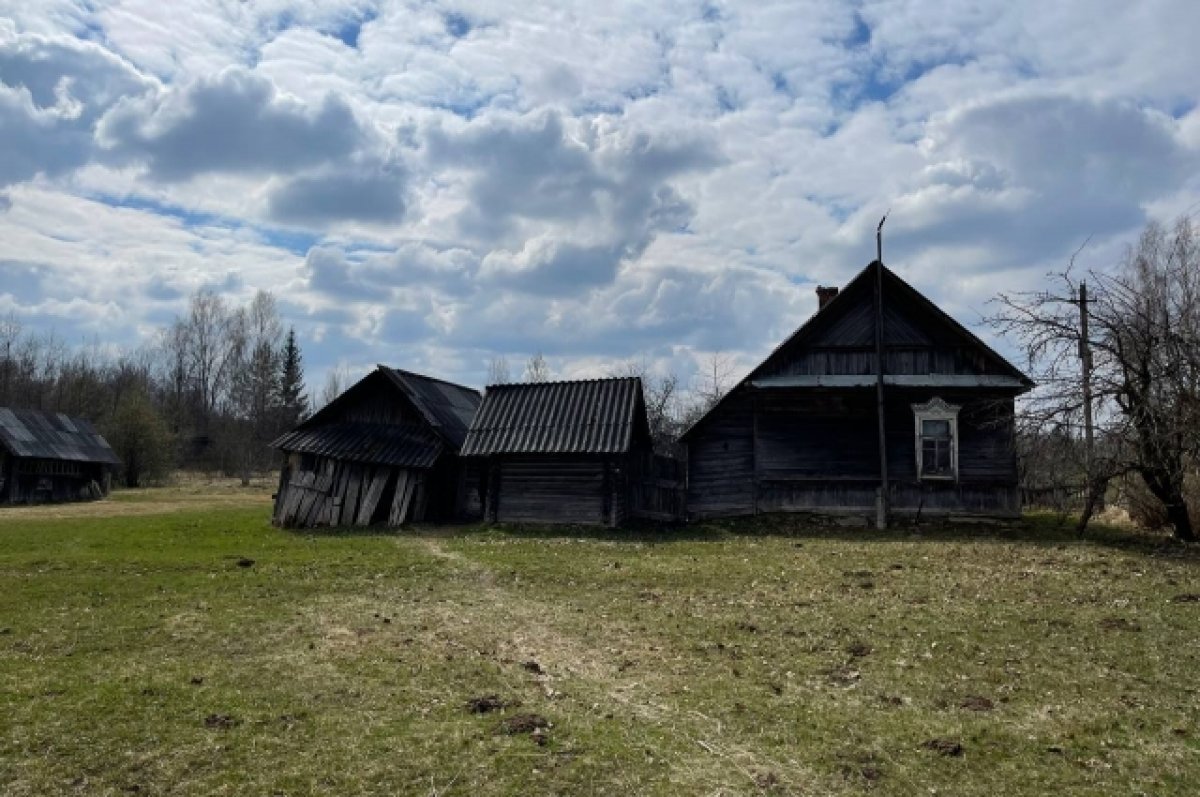 псков дом на народной (95) фото