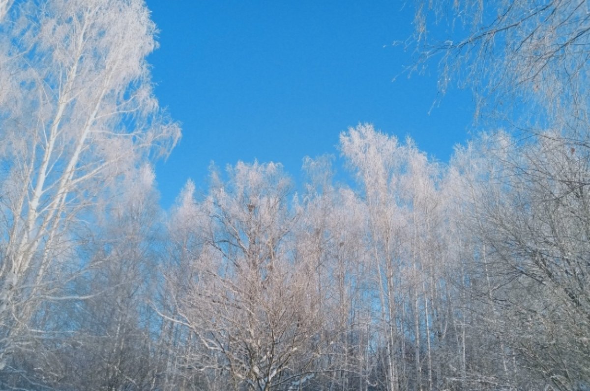 Аномальные морозы и куча снега. Почему погода бьет рекорды в Алтайском крае