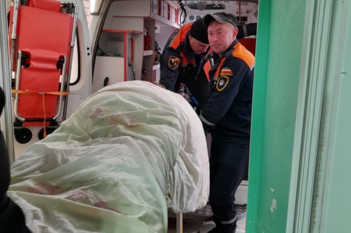 На Дону для госпитализации погибающего весом 100 кг понадобились спасатели
