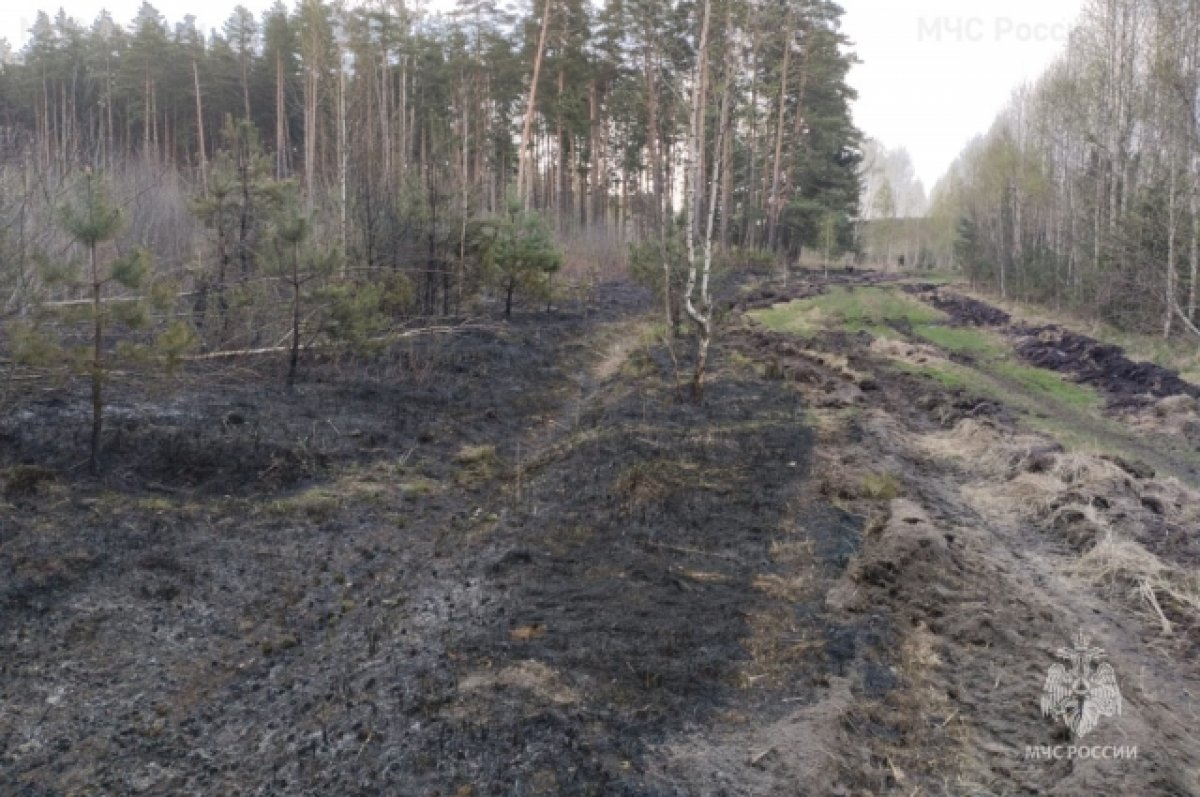 29 возгораний сухой травы и один лесной пожар потушили за сутки на Брянщине