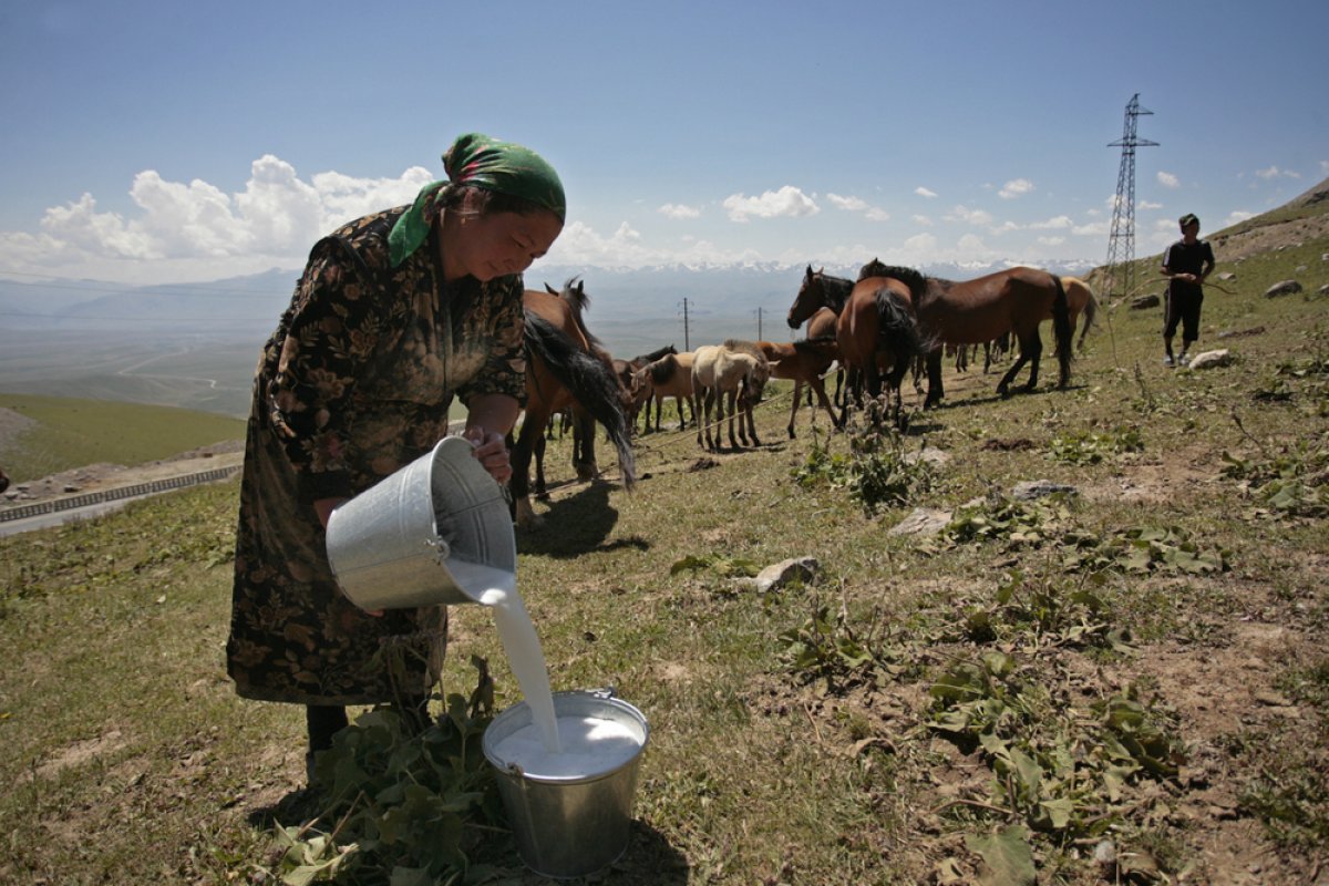 Не прошли проверку. Россия запретила ввоз молочной продукции из Киргизии