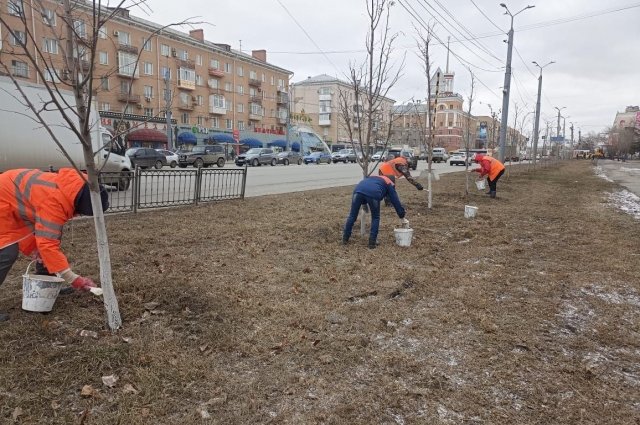 Помимо уборки, на улицах приводят в порядок насаждения. 