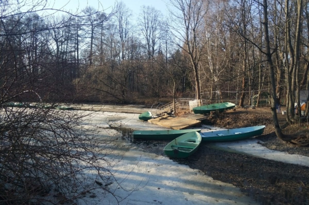 Погода в Хабаровском крае и ЕАО на 25 апреля | АиФ Хабаровск