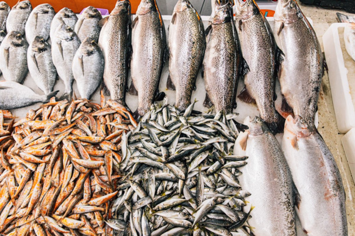 Морской язык: виды рыб, особенности и интересные факты