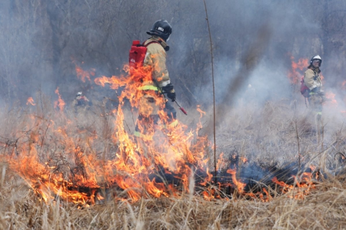 Один человек пропал после пожаров в Сосьве Свердловской области