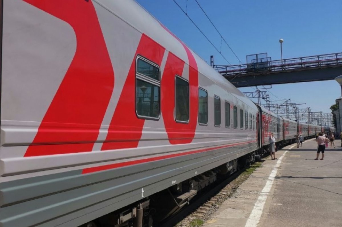 РЖД рассказала, как доставит пассажиров задержанных на Брянщине поездов