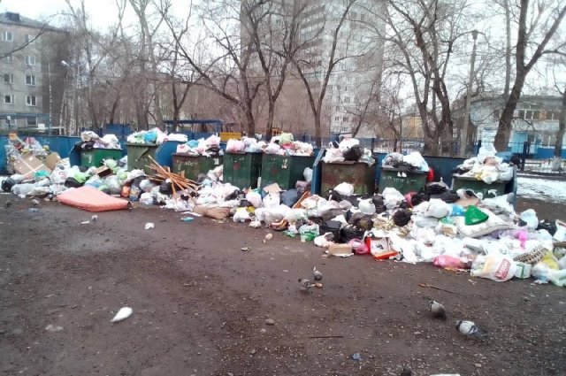 Красноярцы жалуются на заваленные мусором баки на улицах Королёва и Гладкова.