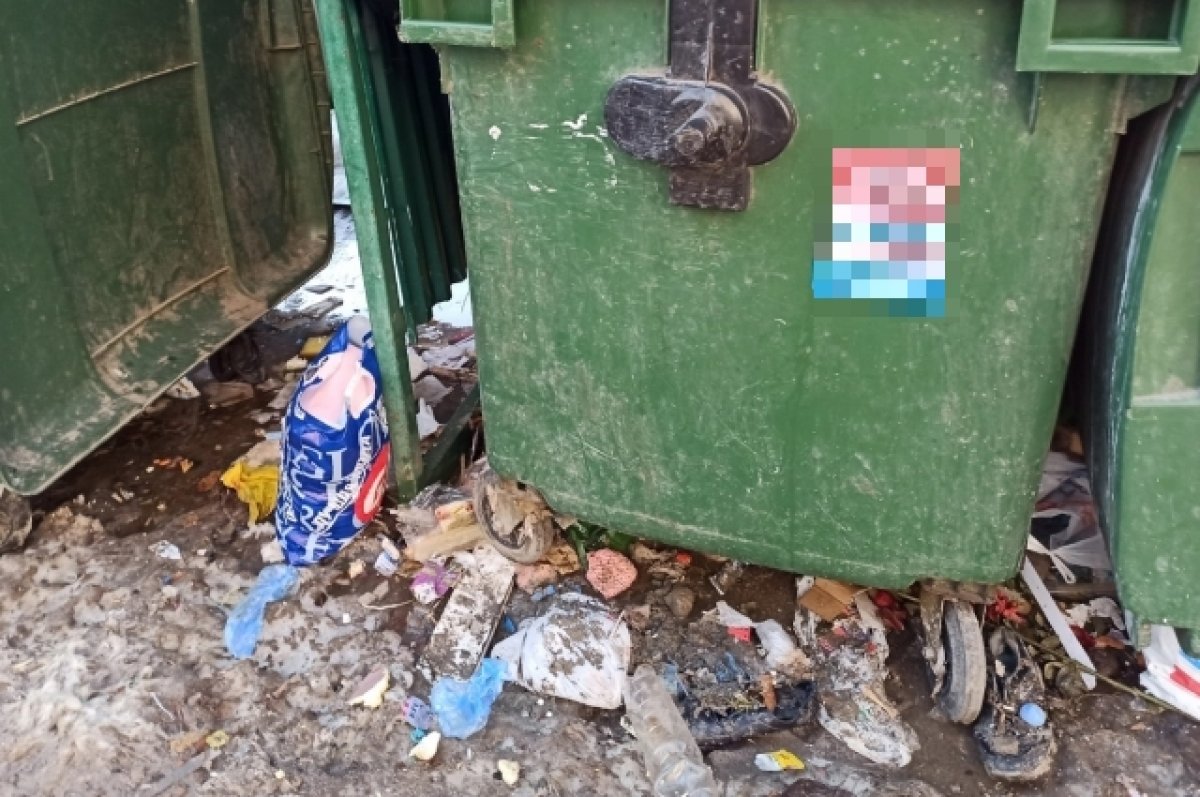 Барнаулец пожаловался в соцсетях на груду мусора в пригороде