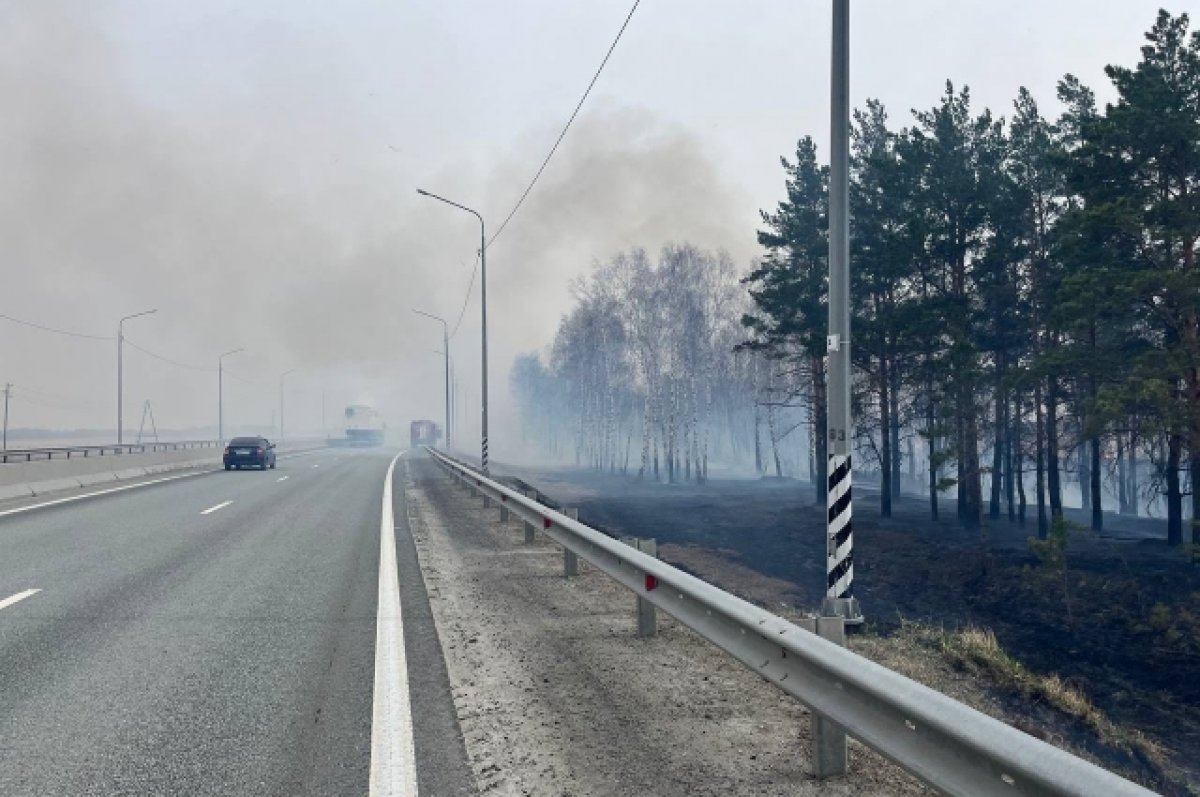 Возле Верхнего Бора в Тюмени из-за пожара ограничили движение транспорта |  АиФ Тюмень