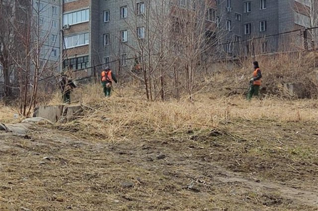 На данный момент сухую траву выкосили более чем на 30 участках в Красноярске.