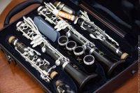 Четыре кларнета, английский рожок и флейта пикколо с серебряной головкой обошлись в неполные пять млн рублей.