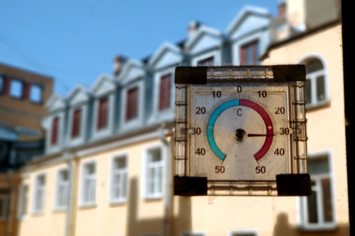 Предстоящее лето на Алтае может стать самым жарким за последние 150 лет