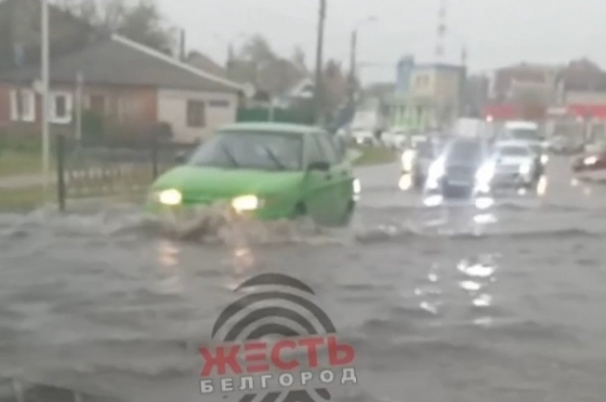 Несколько улиц Белгорода затопило из-за сильного дождя | АиФ Белгород