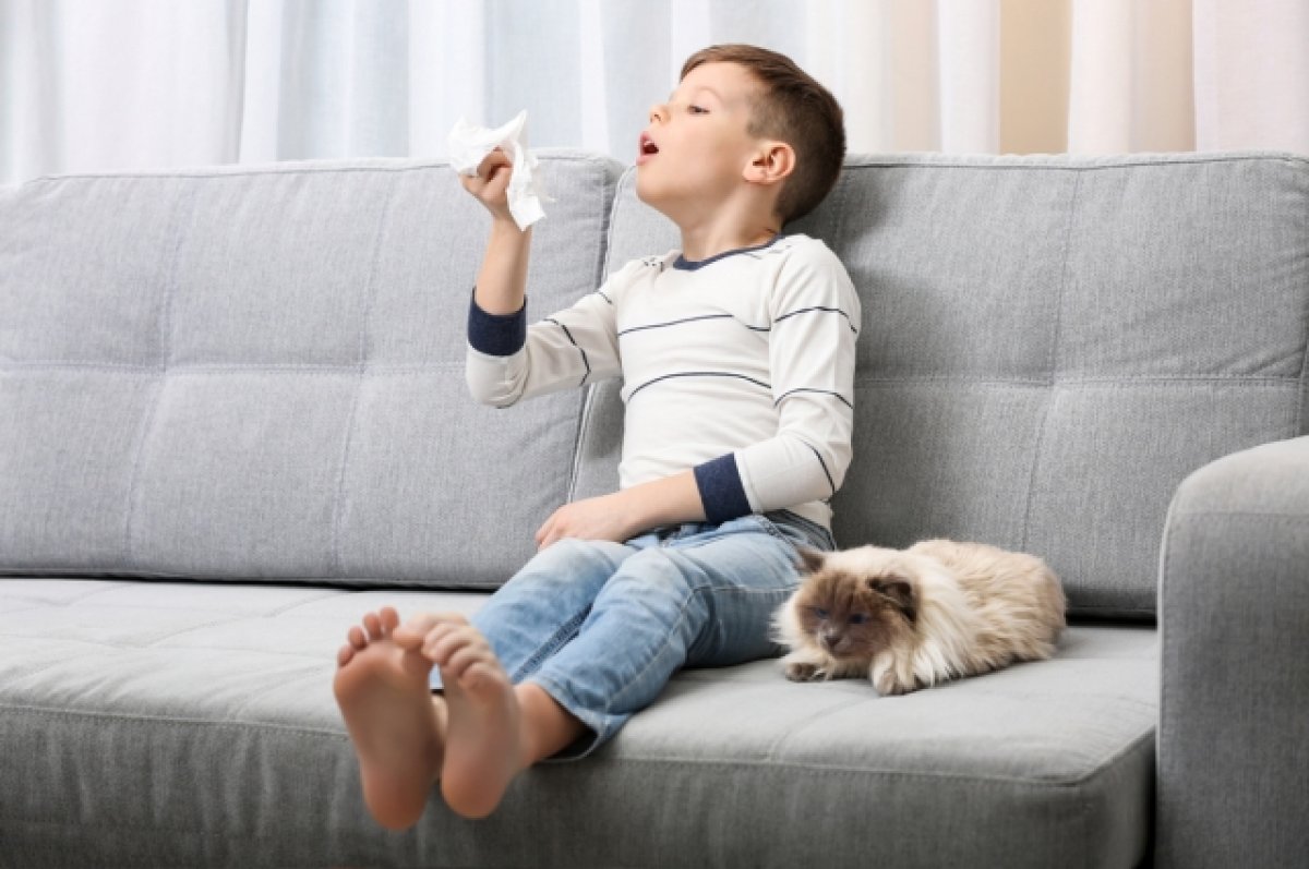 6 мифов об аллергии. Как обезопасить детей и лечить их правильно