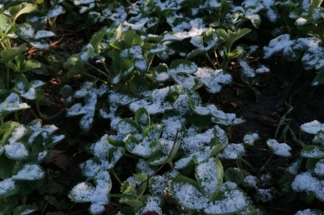 Снег в Бежецке