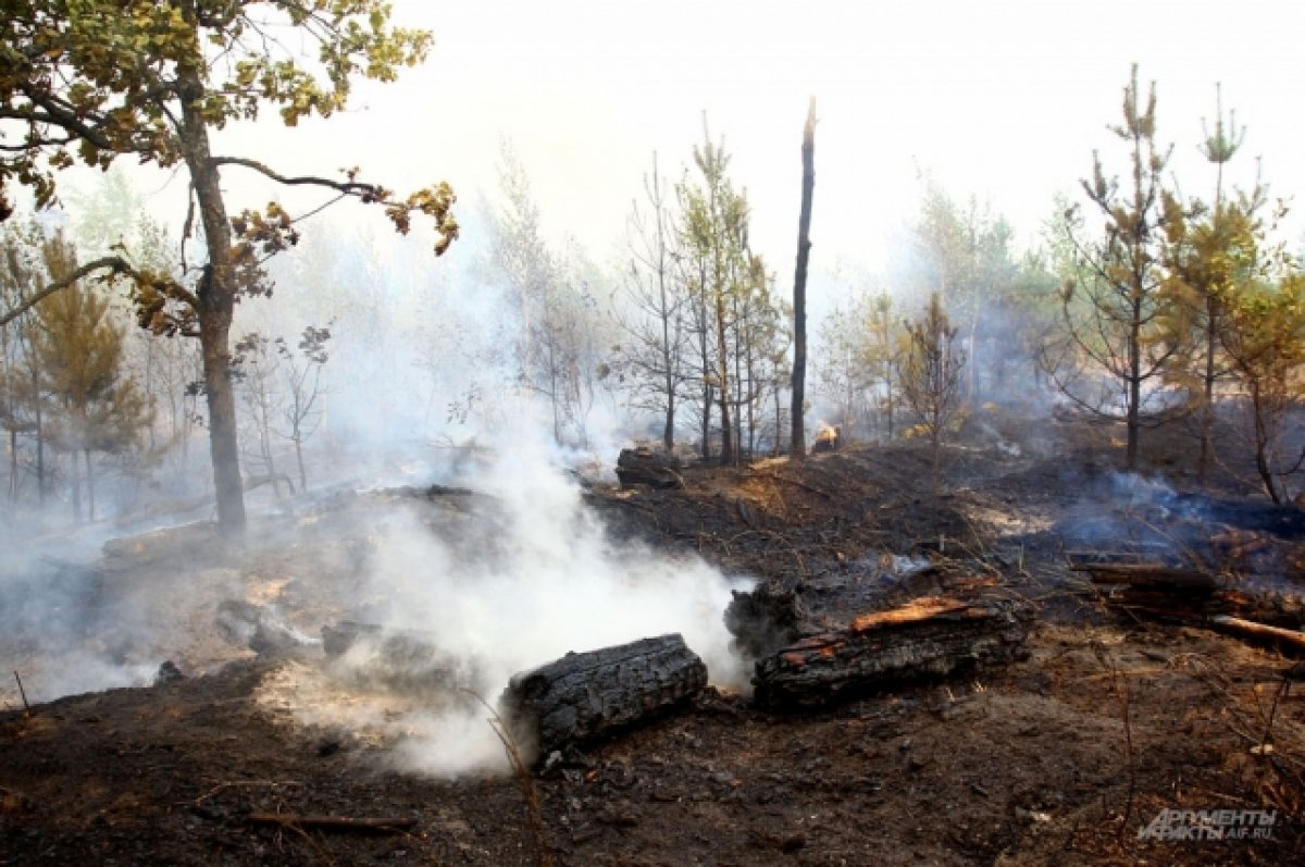 В Свердловской области локализовали пожар в районе двух складов с порохом