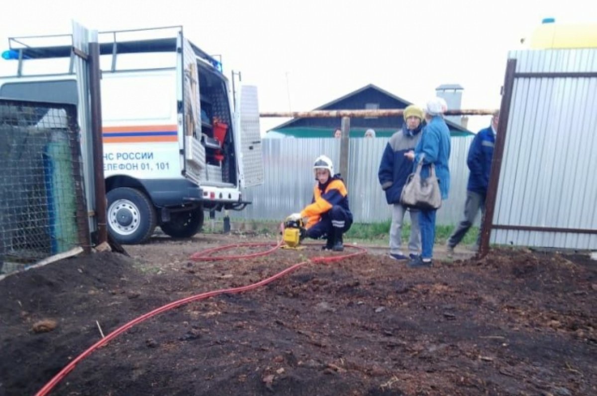 Ногу молодого парня затянуло в мотоблок на огороде в Тукаевском районе |  АиФ Казань