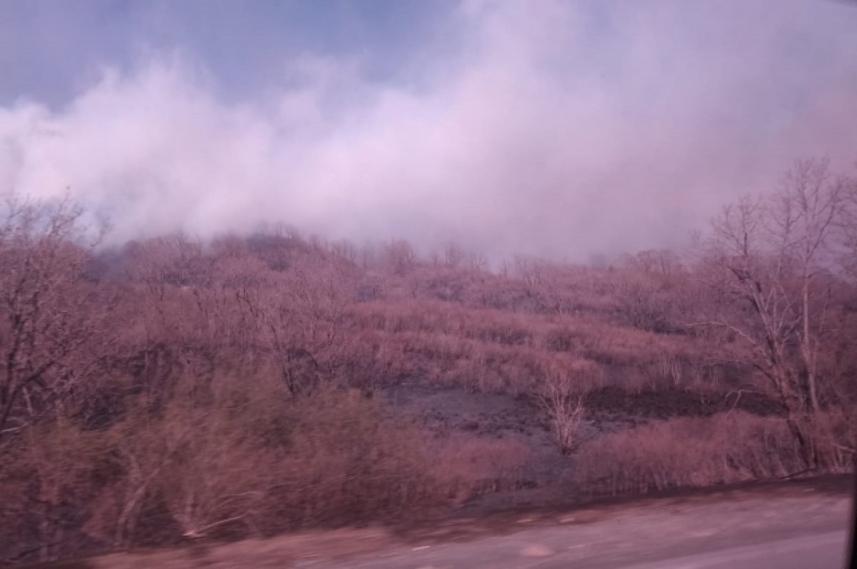 В Алтайском крае объявили 5 класс пожарной опасности в 7 районах