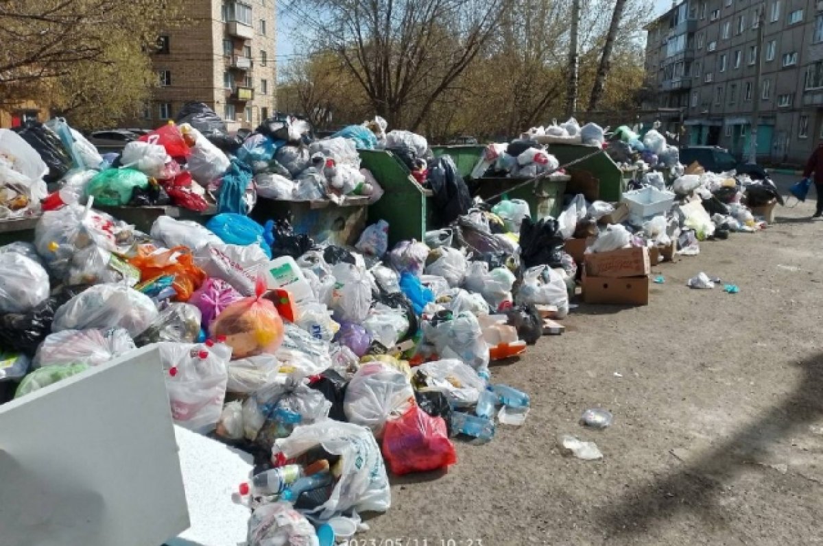 В Красноярске жители улицы Гладкова жалуются на переполненные мусорные баки  | АиФ Красноярск