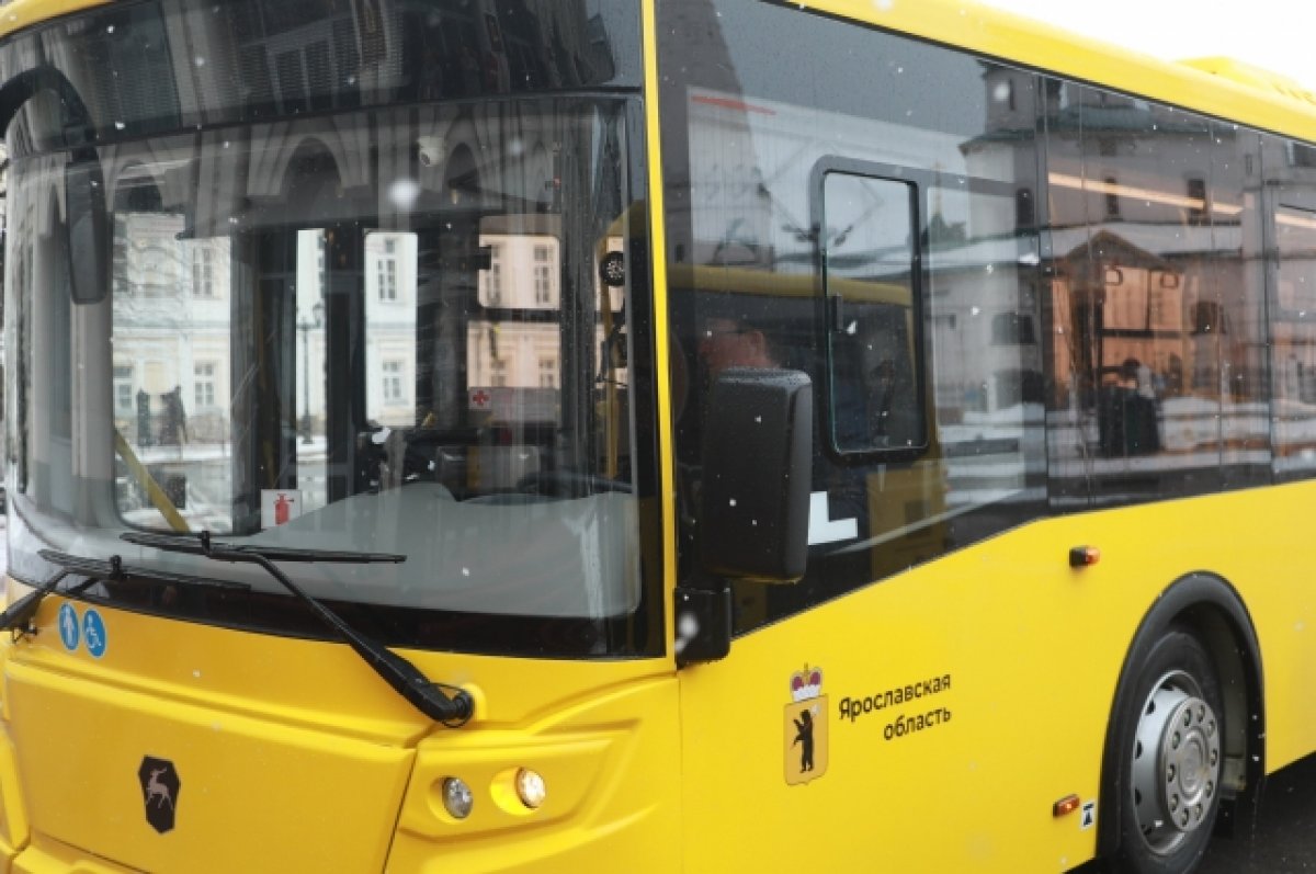 Новые автобусы выйдут еще на 10 маршрутов в рамках модернизации транспорта