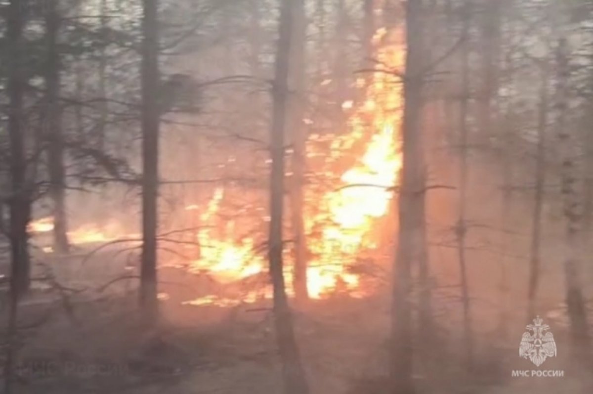 Брянские огнеборцы ликвидировали пожар в Дятьковском лесничестве