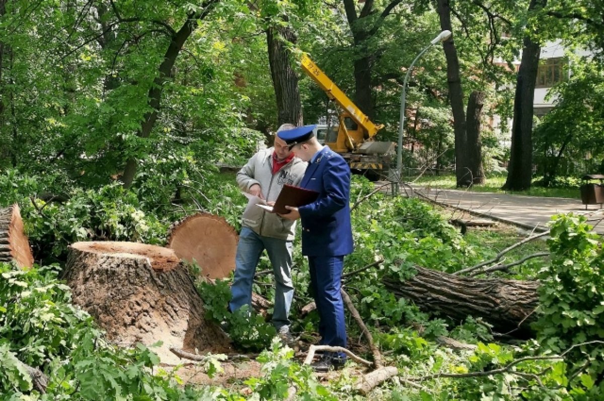 Купить Дом В Саратове Горпарк