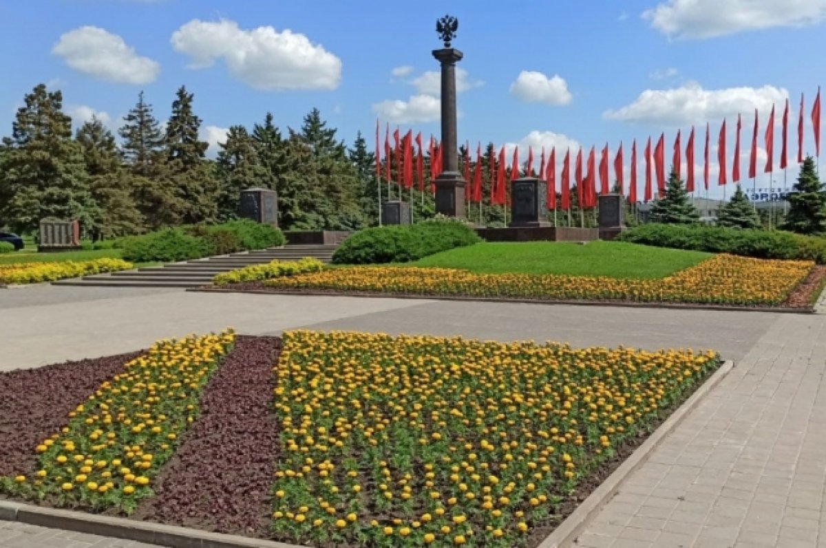 Миллион летних цветов обещают высадить в Ростове