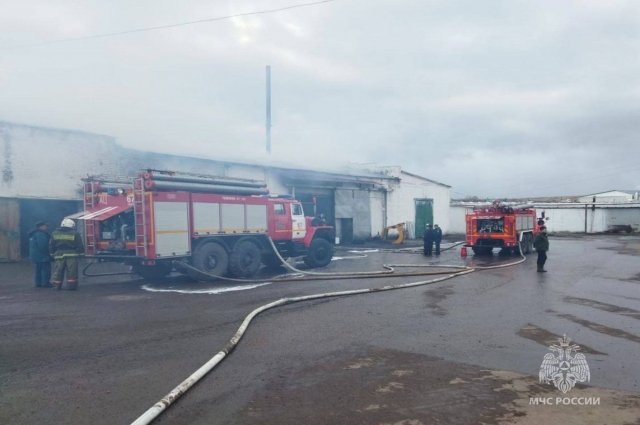 Пожар локализовали на площади 600 кв. метров.