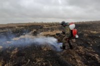 Ландшафтные пожары в Нижневартовском и Октябрьском районах локализованы.