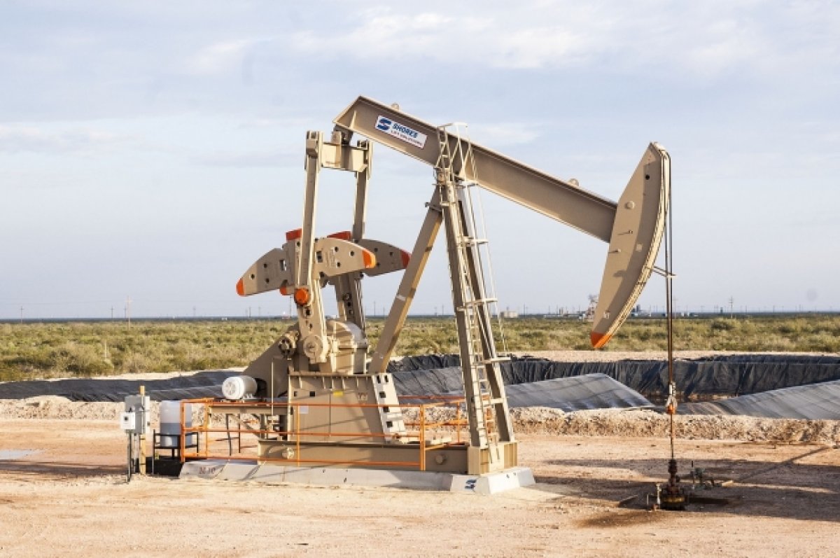 В Ростовской области выставили на продажу месторождение нефти и газа