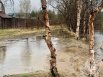 В Мурманской области произошло подтопление девяти приусадебных участков на нижней части берега реки Колы.