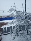 Снег в Красном Чикое в Забайкалье 19 мая.