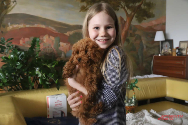 Владимир Путин подарил щенка девочке из Москвы