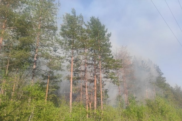 В Оренбуржье объявлен высокий класс пожарной опасности