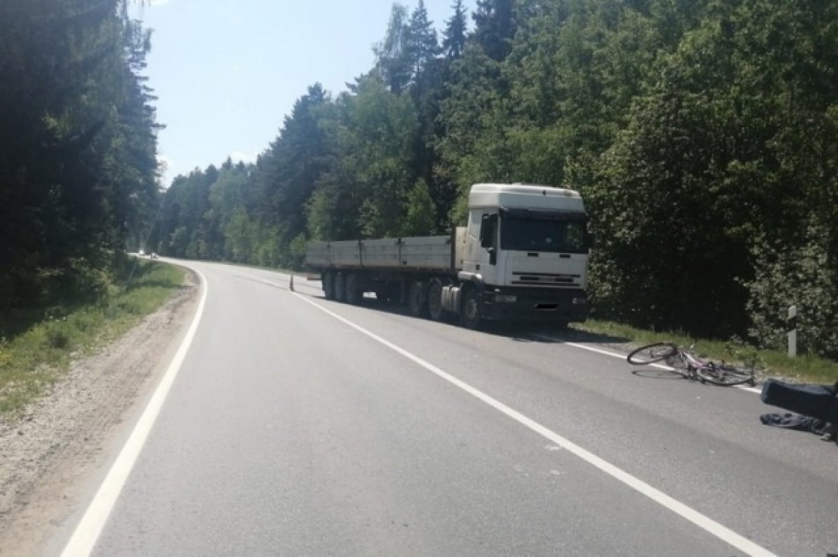 В Брянском районе под колесами грузовика погиб 72-летний велосипедист