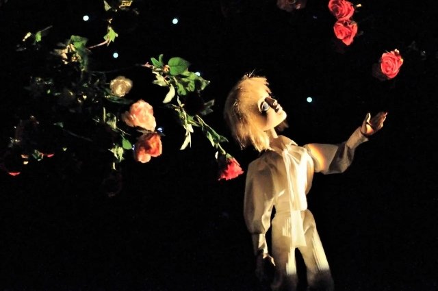 На сцене Омского государственного театра куклы, актёра, маски «Арлекин» пройдут показы спектаклей «Маленький принц», «Кощей+Василиса=?», «По щучьему велению».
