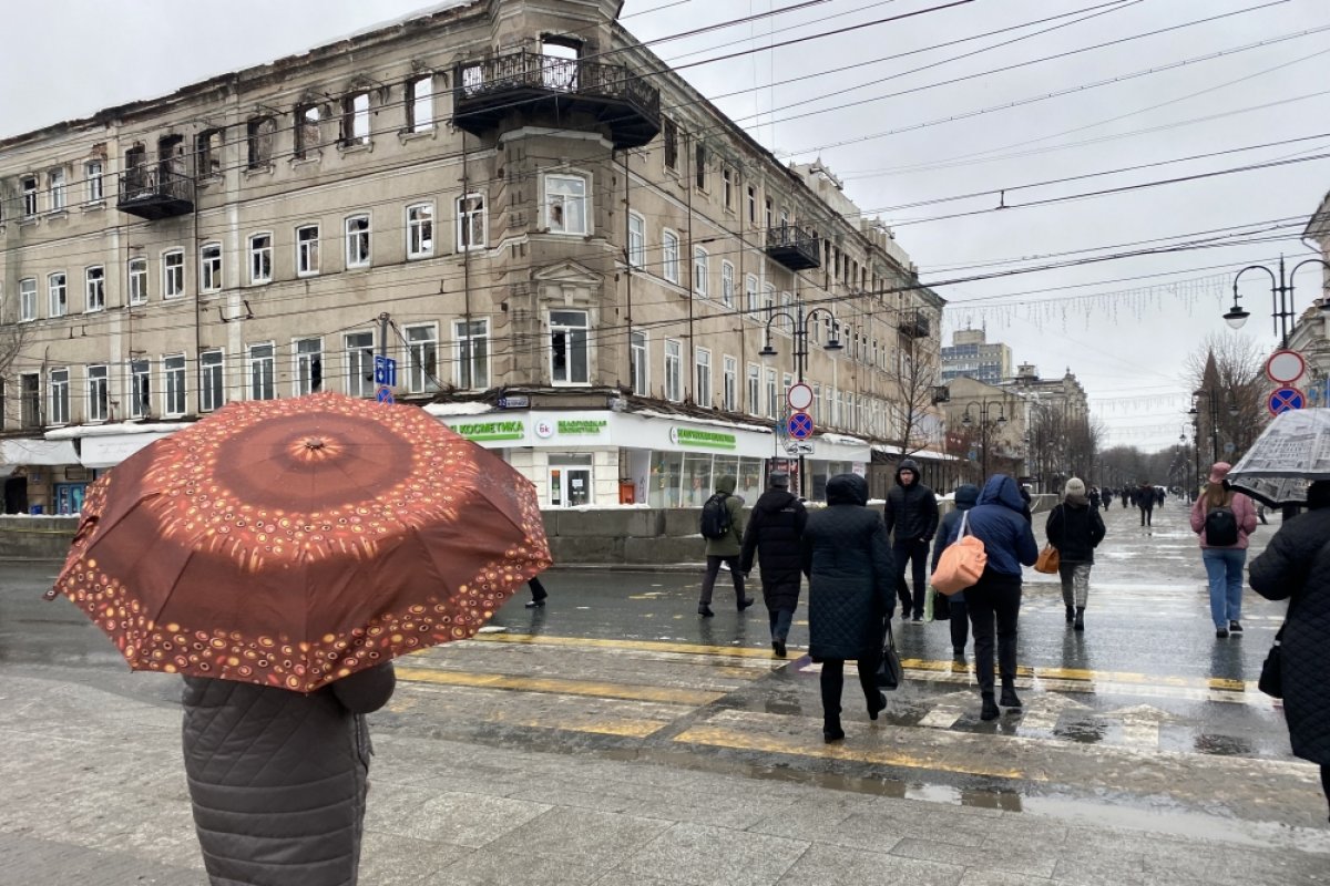 Дождь обещают синоптики в Ростове в четверг, 25 мая
