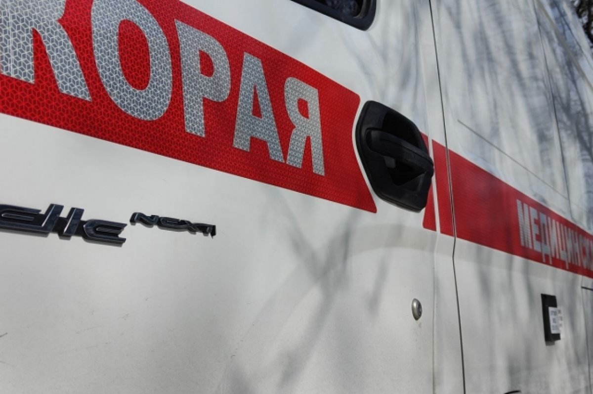 Два человека пострадали в жестком столкновении грузовиков на Алтае