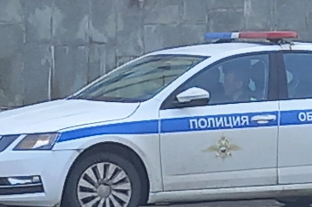 Водитель развязал драку с полицией