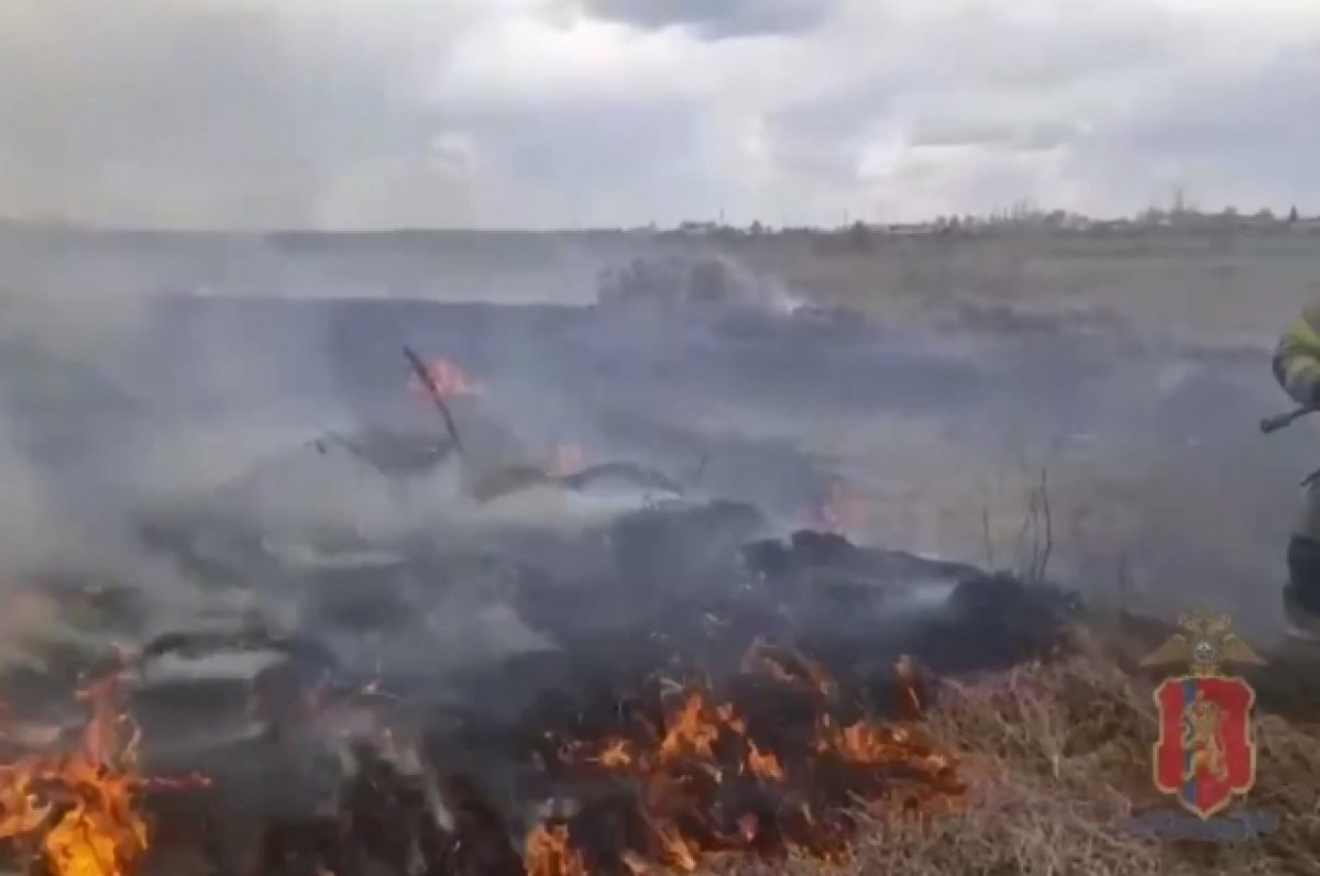 В Красноярском крае дети устроили крупный пожар в поле | АиФ Красноярск