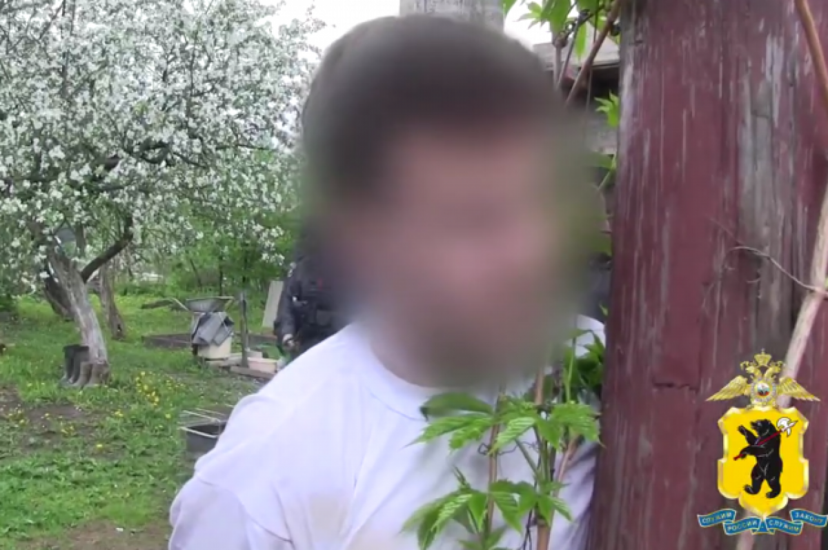 28-летний житель Рыбинска организовал у себя на даче нарколабораторию
