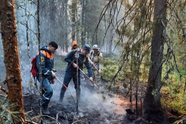 Они помогали соседним регионам бороться с огненной стихией в лесах.