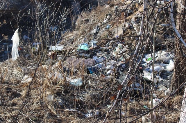 Татарстанские леса захламили кубометрами отходов и мусора. 