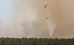 В тушении задействованы 298 работников Авиалесоохарны Югры.