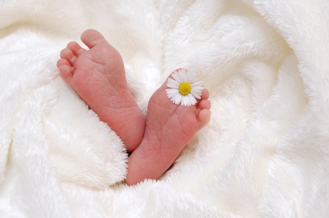С начала года в регионе родилось 7 336 малышей.