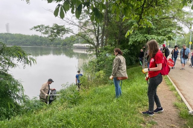 В Краснодаре десятки добровольцев вышли на субботник, чтобы очистить от мусора берег Покровского озера – части системы Карасунских прудов.