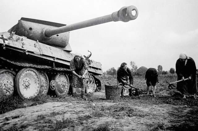 Польские крестьяне собирают урожай на освобожденной от немцев земле. 1944 г.